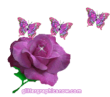 purple rose n butterflys Pictures, Images and Photos