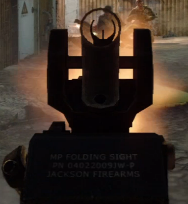 What's Happening: The writing on the all of the Assault Rifle's iron sights 
