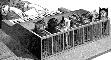 kitty cat piano lol cats