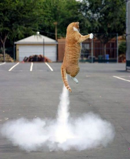 cat fart rocket kitty wind jet