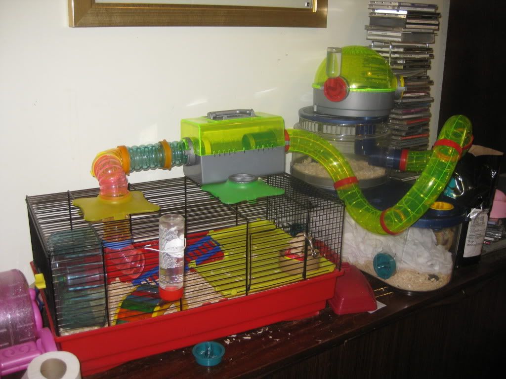 rotastak space command hamster cage