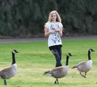 Photobucket Photobucket