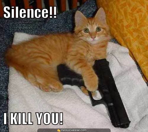 silence-i-kill-you-.jpg