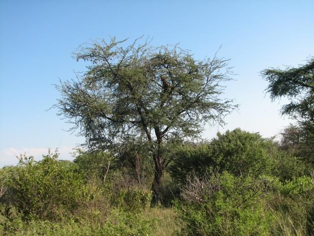 Namibia2013152.jpg