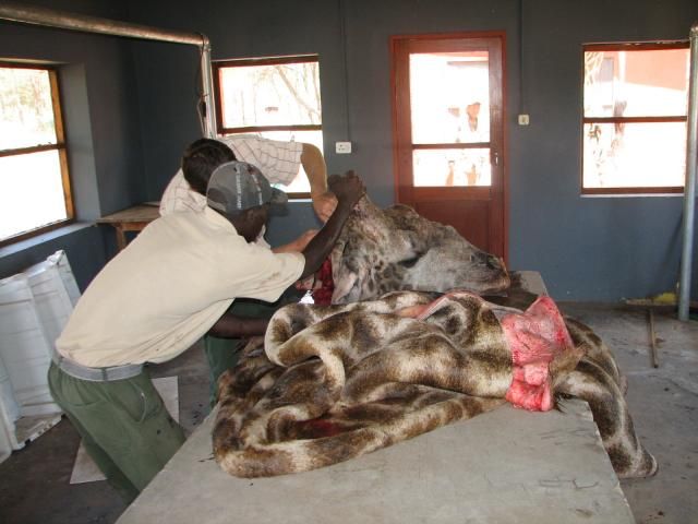 Namibia2013285.jpg