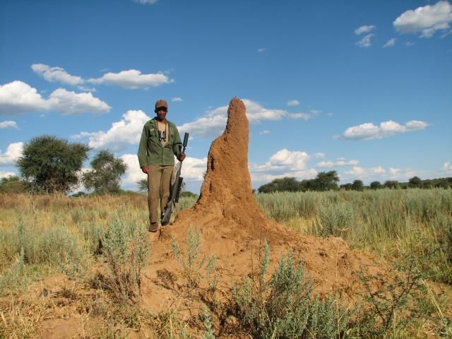 Namibia2013300.jpg