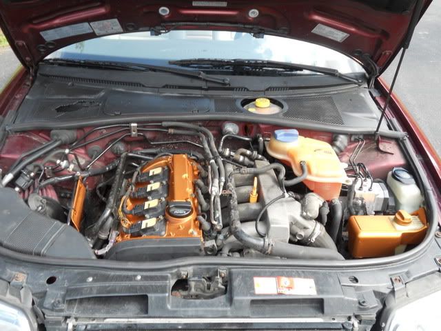 http://i1011.photobucket.com/albums/af239/cjconlon692/2000%20Audi%20A4/enginebay001.jpg