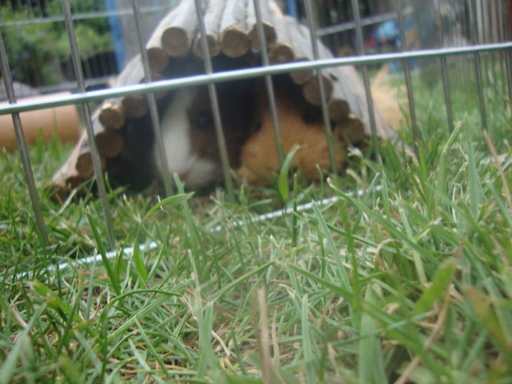 DSC01116.jpg