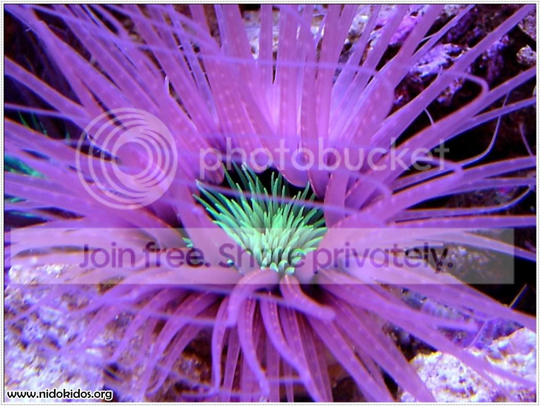 Slide10.jpg