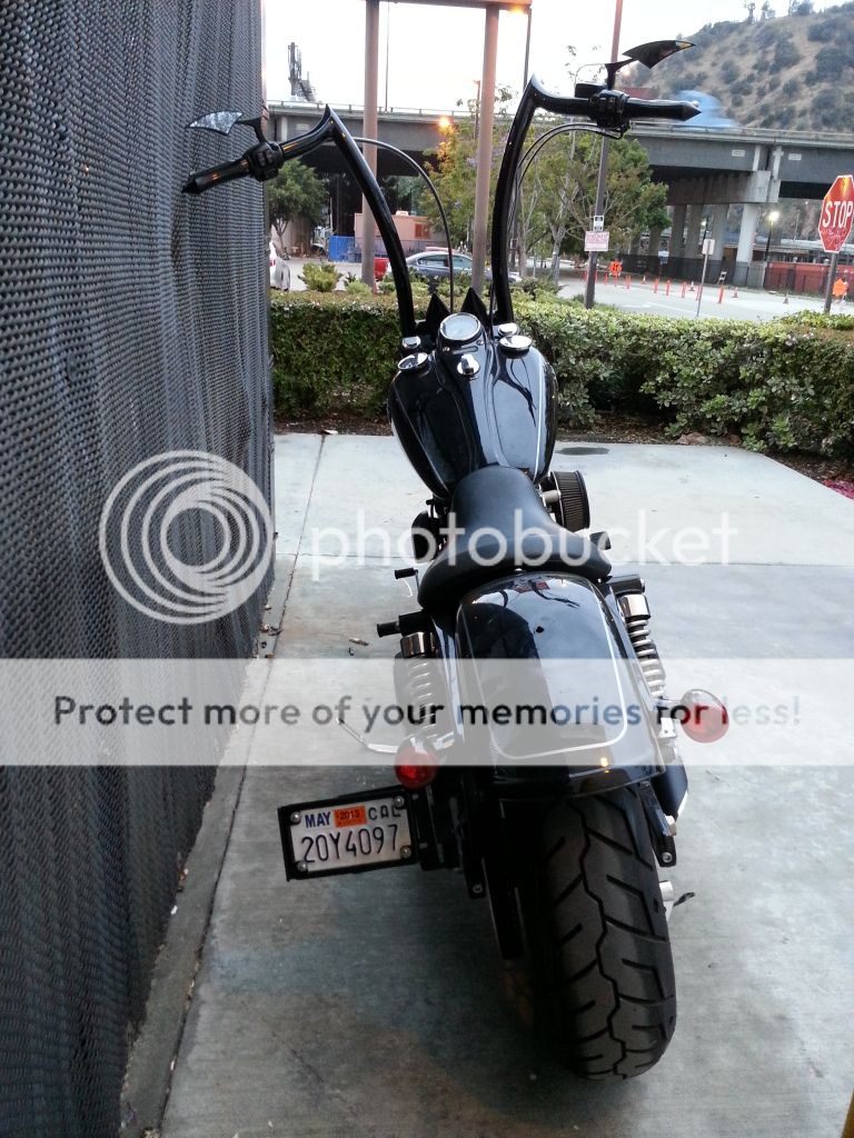 harley davidson short height bikes