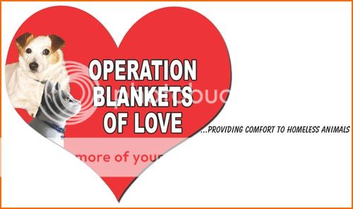 Operation Blankets of Love www.nohoartsdistrict.com