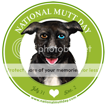National Mutt Day July 31 www.nohoartsdistrict.com