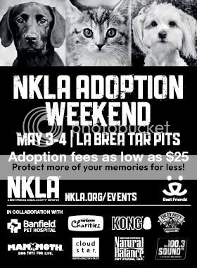 NKLA Adoption Weekend May 2014 www.nohoartsdistrict.com