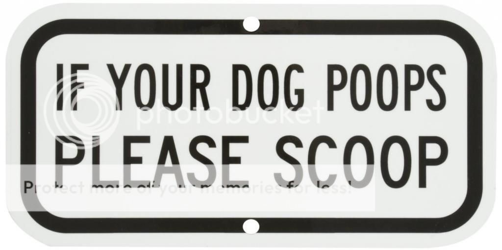 dog poop www.nohoartsdistrict.com