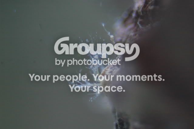 [TodoMarino.com] Empiezo con 240l